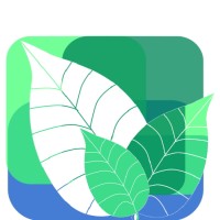 BIOMADETECH International Ltd. Logo