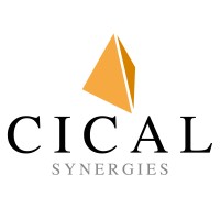 CICAL SYNERGIES Logo