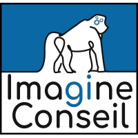 Imagine Conseil - Junior de Génie industriel Logo