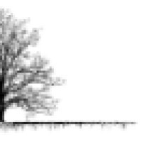 Burnt Oak Developments Logo