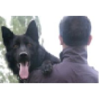 K9 Güvenlik Logo
