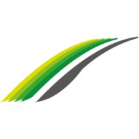 ACC M Logo