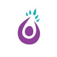 Life Solutions Inc Logo