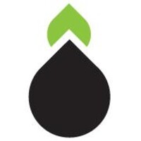 Fruition (Pty) Ltd Logo