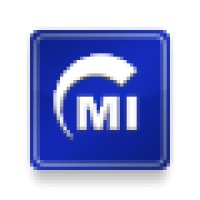 Massive Insights Logo
