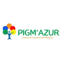 PIGMAZUR Logo