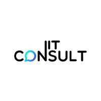 NIT Consult Logo