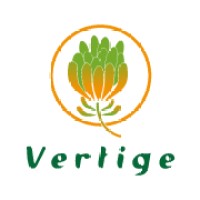 VERTIGE INTERNATIONAL Logo