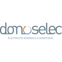 domoselec Logo