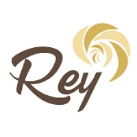 REY SURGELES Logo