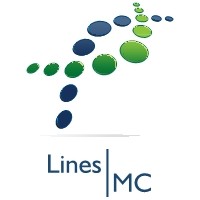 LINES MANAGEMENT CONSULTING Logo