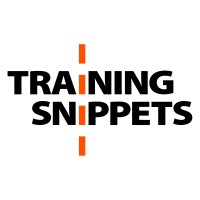 Training Snippets Logo