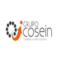Grupo Cosein Logo
