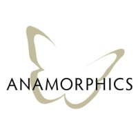 Anamorphics Inc. Logo
