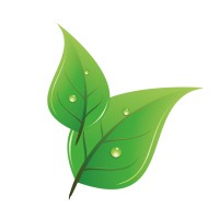 Oxygène Numérique Logo