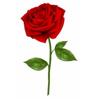 Rose Talent Partnership (UK) Logo