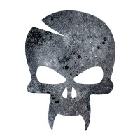 Metalovision Logo