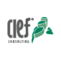 CIEF Consulting & Training Logo