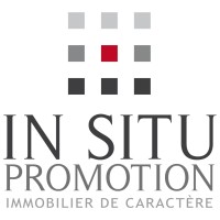 IN SITU PROMOTION Logo
