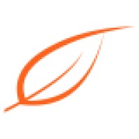 Orange Tree Design Studio Logo