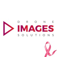 DRONE IMAGES SOLUTIONS Logo