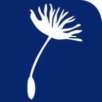 Specialisterne Ireland Logo