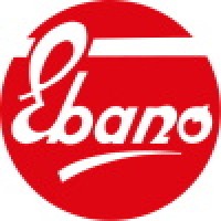 Deisa Ebano S.p.A. Logo
