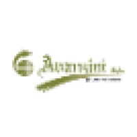 Avanzini Logo