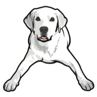 Tucker Pups Pet Resort Logo
