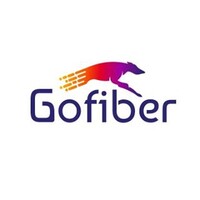 Gofiber Logo