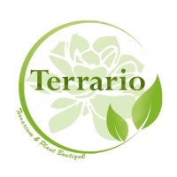 Terrario - Terrarium & Plant Boutique Logo