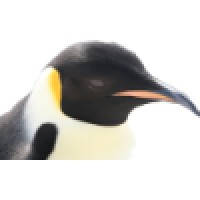 OKay Logo