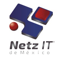 Netz IT Mexico Logo