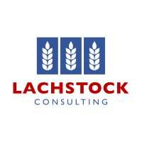 Lachstock Consulting Logo