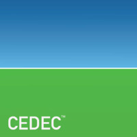 CEDEC-CONSULTING Logo