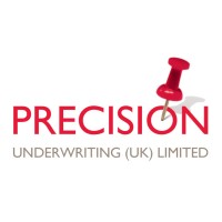 Precision Underwriting (UK) Ltd Logo
