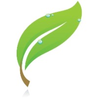 Lifestyle Chiropractic Logo