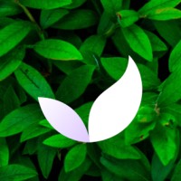 Deep Meditate Logo