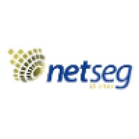 NetSeg.com.br Logo