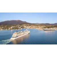 Tasmanian Cruise Ship Shore Excursions & Tours Logo