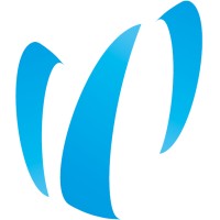 WITHIT BV Logo