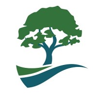 North Oaks Financial Group Logo