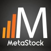 Metastock Chile Logo