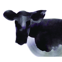 Heifer Station Wines. Logo