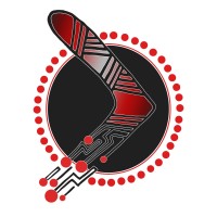 Boomerang Technology Logo