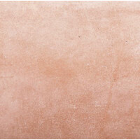 CarlosGris.Studio Logo