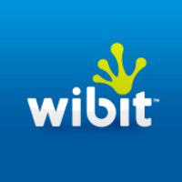 Wibit Sports Logo