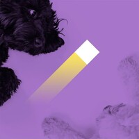 Pixelgrade Logo