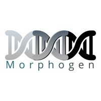 Morphogen Medical Communications Logo