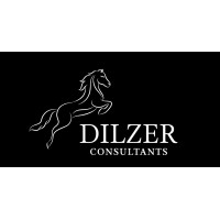 Dilzer Consultants Pvt Ltd. SEBI Registered Investment Advisor. Logo